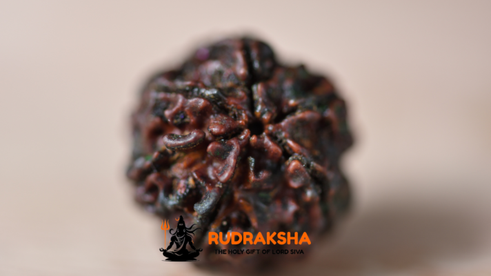 Can I Wear Rudraksha in Black Thread