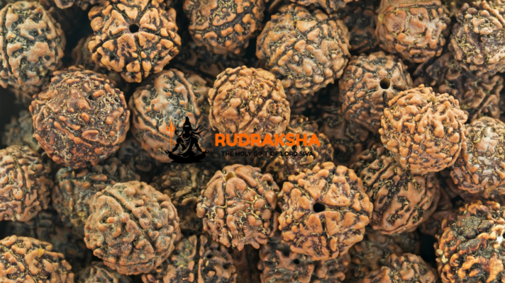 Rudraksha beads