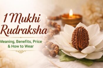 1 mukhi rudraksha
