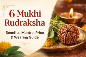 6 mukhi rudraksha