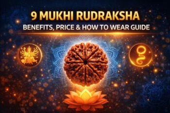 9 mukhi rudraksha