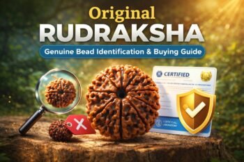 original rudraksha