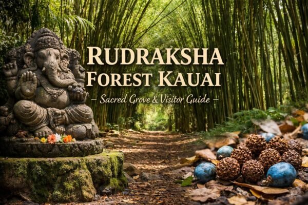 rudraksha forest kauai